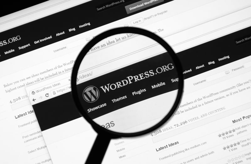 magnifying glass over a website screen for Wordpress.org